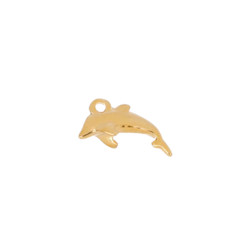DOLPHIN CHARM