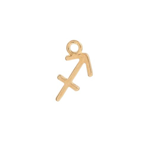ZODIAC CHARM
