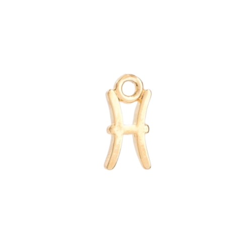 ZODIAC CHARM