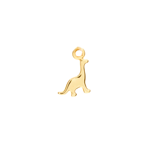 LONG NECK CHARM