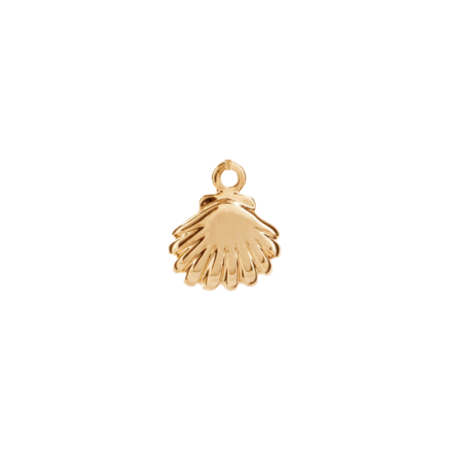 SEASHELL CHARM