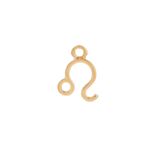 ZODIAC CHARM