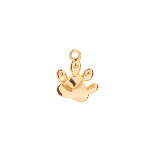 GOLDEN PAW CHARM