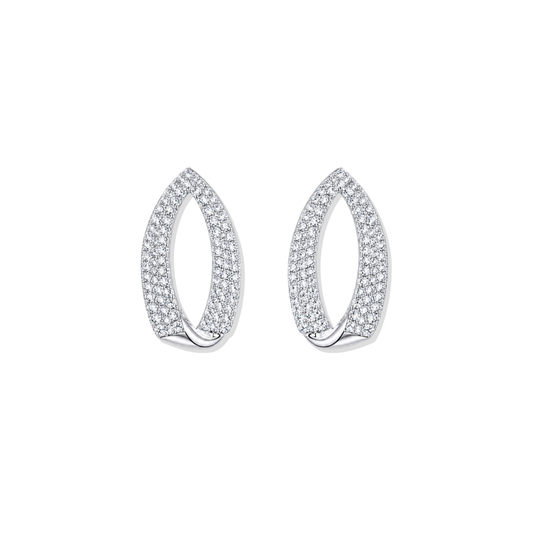 Silver Elegant Drop Earring